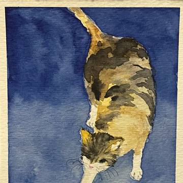 ねこ　その①   そろぉ〜り