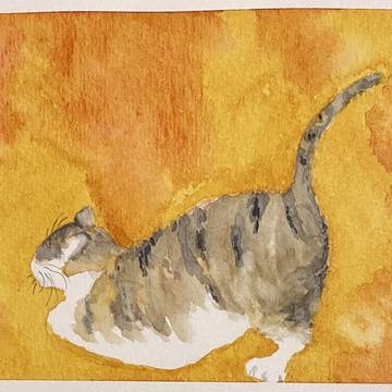 ねこ　その①   おしりポンポン