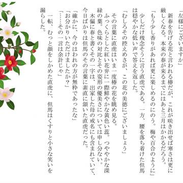 椿『初咲き』