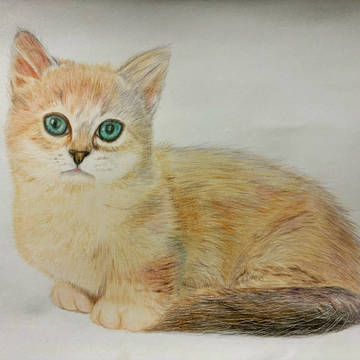 ねこ