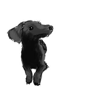 犬