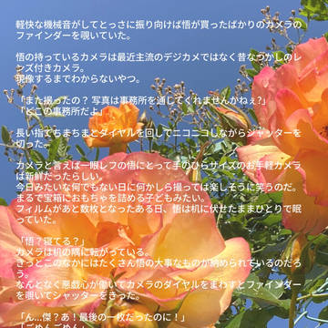 15/大事なもの26枚