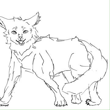 An angry cat base.