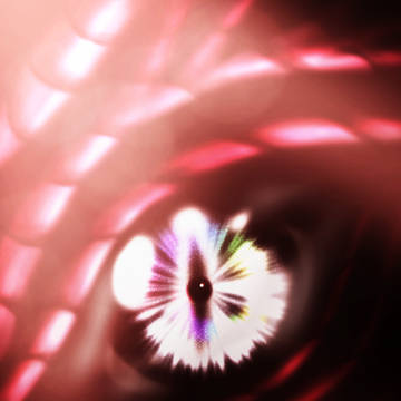 竜の瞳
