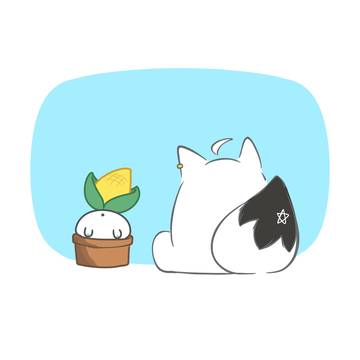 🌽