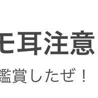初デジタル きっっっっつ