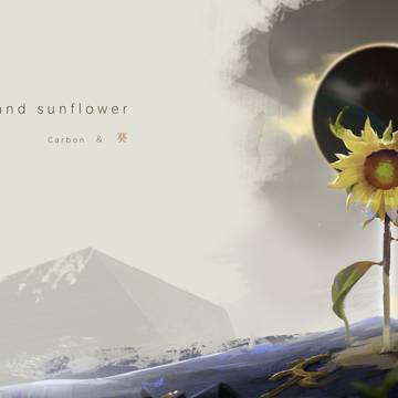 C and sunflower