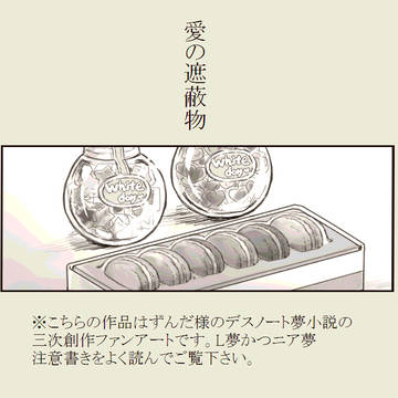 【デスノ夢小説】愛の遮蔽物【ファンアート②】