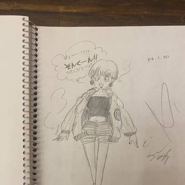 ブルマさんと18号