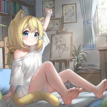 飞鱼猫猫awa