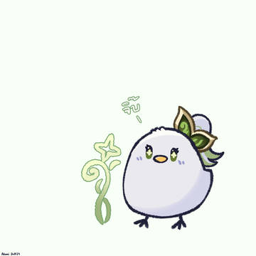 5 Chickchon