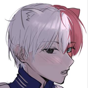 Todoroki