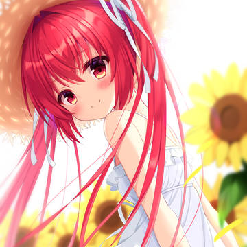 向日葵