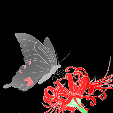 僕の一番好きな花と蝶