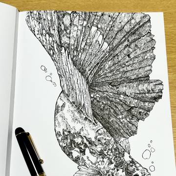 闘魚