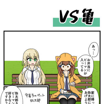 VS亀