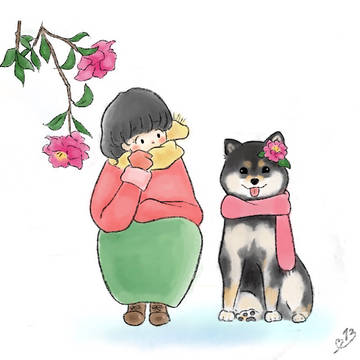 サザンカ