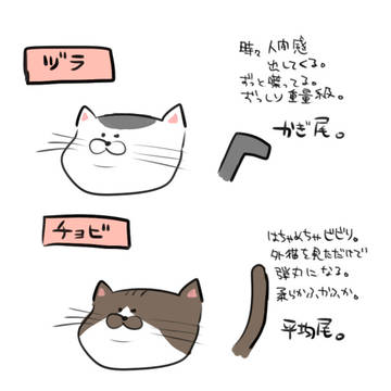 猫の話