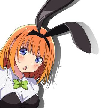 バニーよつば