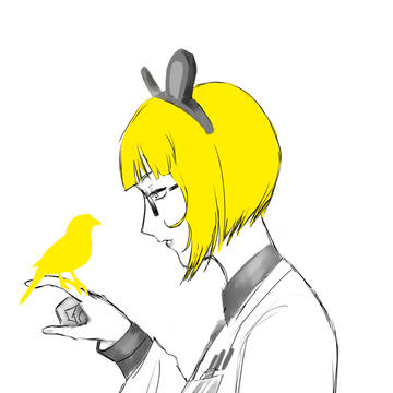 カナリア