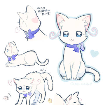 気になる猫ちゃん