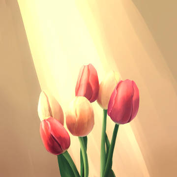 🌷