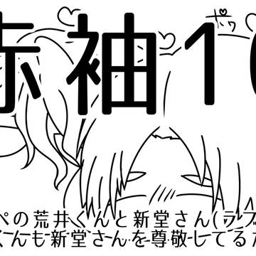 赤袖10