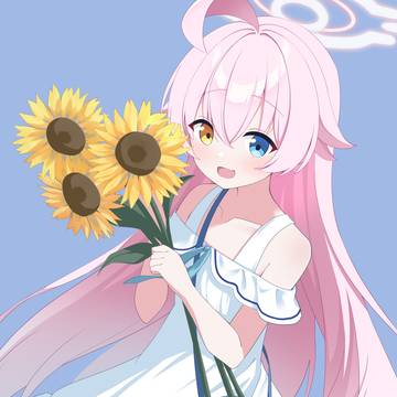 ホシノワンピ