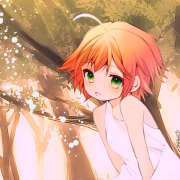 森の少女