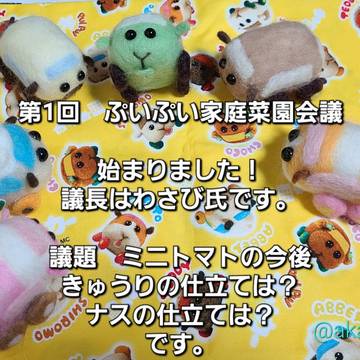 2022年 ぷいぷい家庭菜園会議集！
