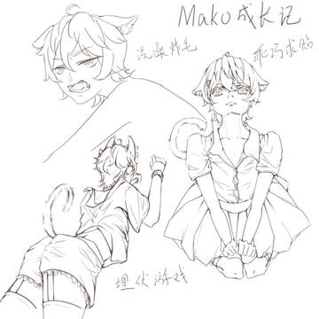 MOMO成长记