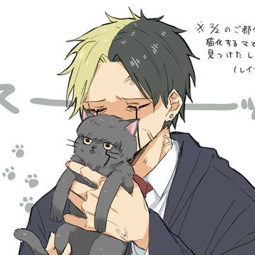 気持ちはレイマシュ
