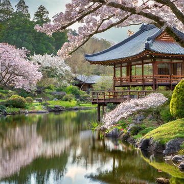 AIで花に関する画像を生成してみた:中村雄暉