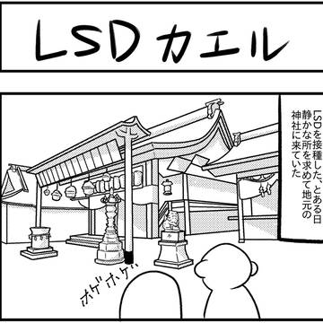 LSDカエル