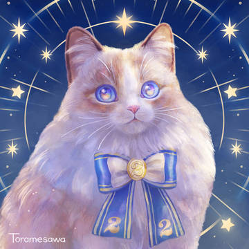 猫の日（2024）