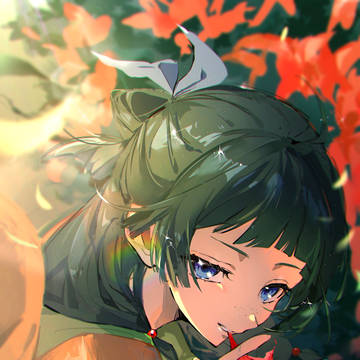 猫猫