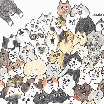 猫の日