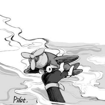 Pilot