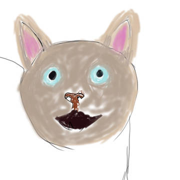 練習猫