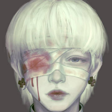 백야극광 나일즈