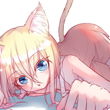 ねこの日