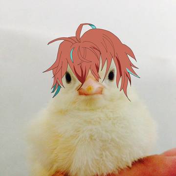 ひよこになった独歩くん