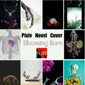 Pixiv Novel Cover【Blooming Born】