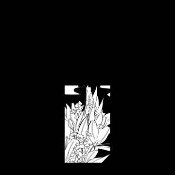 からっぽ / みっちり