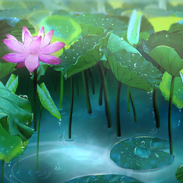 After rain lotus pond