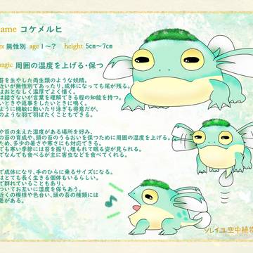 【ソレエン】コケメルヒ【キャラシ】