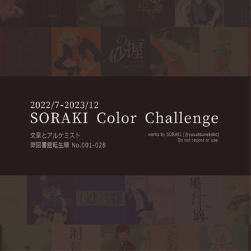 2022/7-2023/12 SORAKIカラーチャレンジLOG