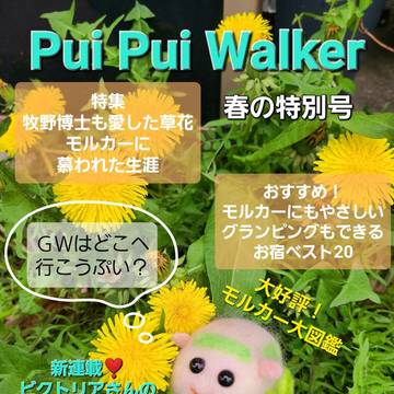 Pui Pui Walker  春の特別号