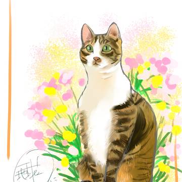 習作 猫