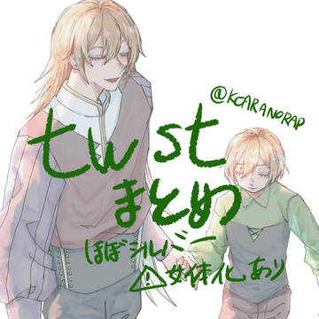twstまとめ *ほぼシルバー